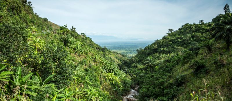 burundi valley