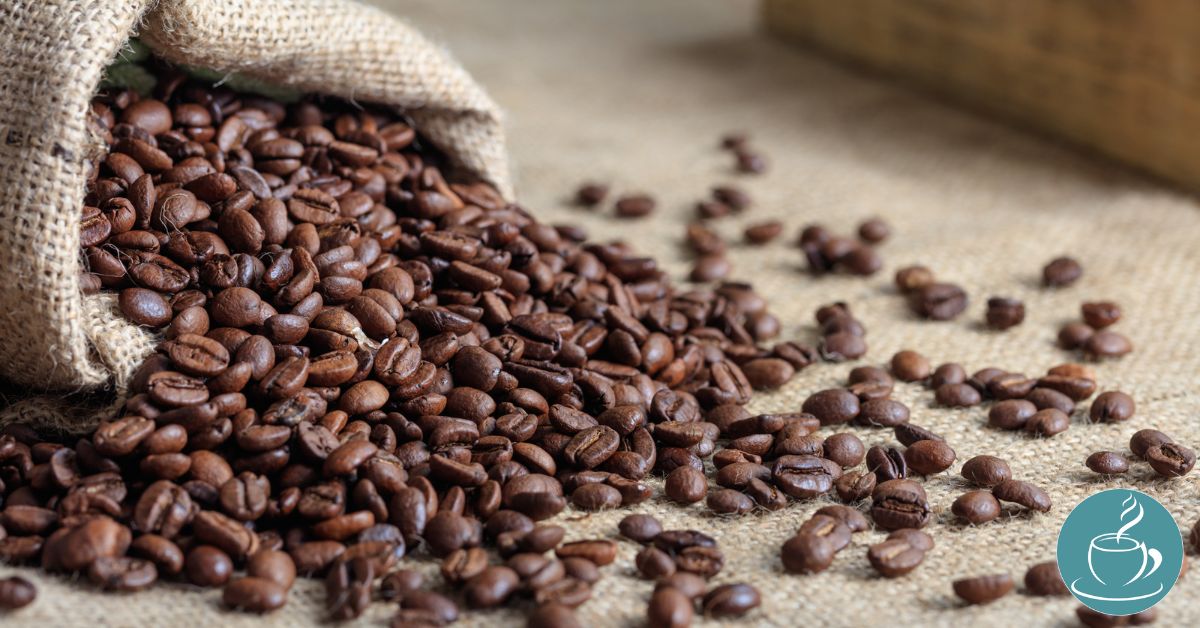 Café en Grain : Tout ce que Vous Devez Savoir Pour Bien Choisir